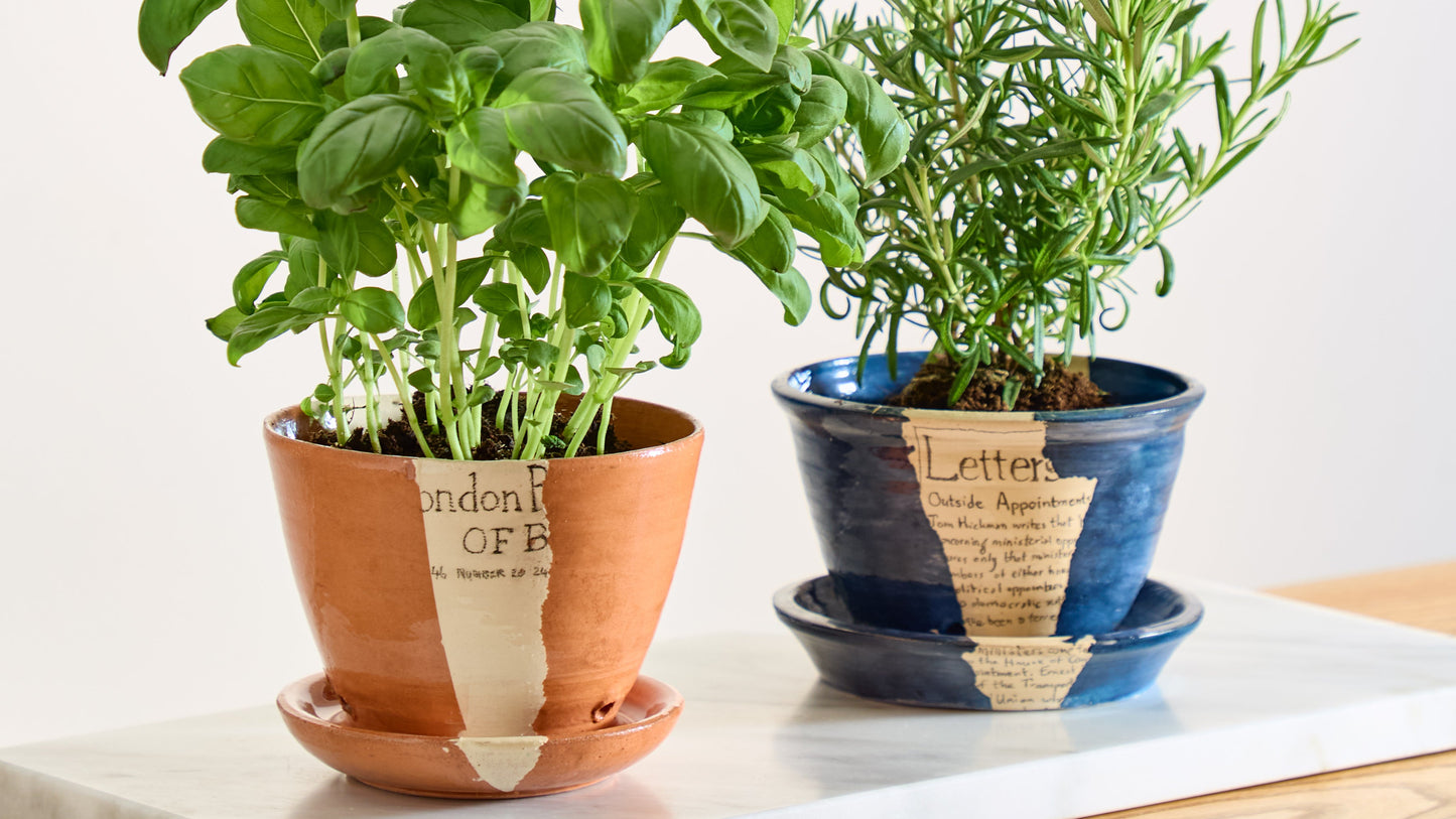 Earthenware by Beth Holgate, Terracotta Herb Pot