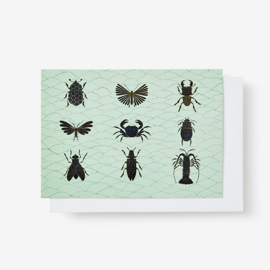 LRB Notecard Set - Bugs