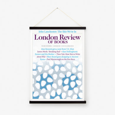 LRB Cover Prints: 2013