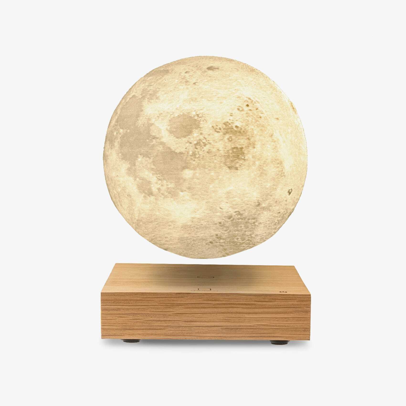 Moon Lamp – The LRB Store