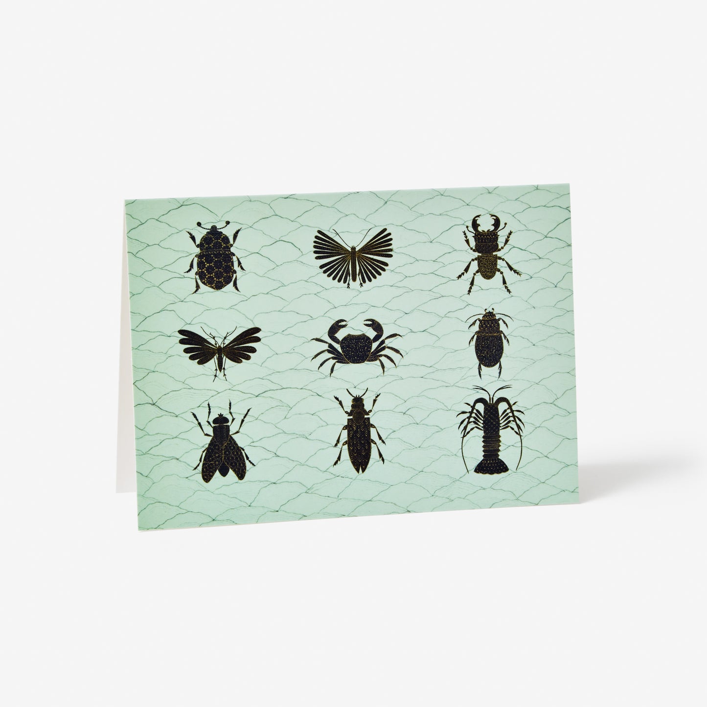 LRB Notecard Set - Bugs