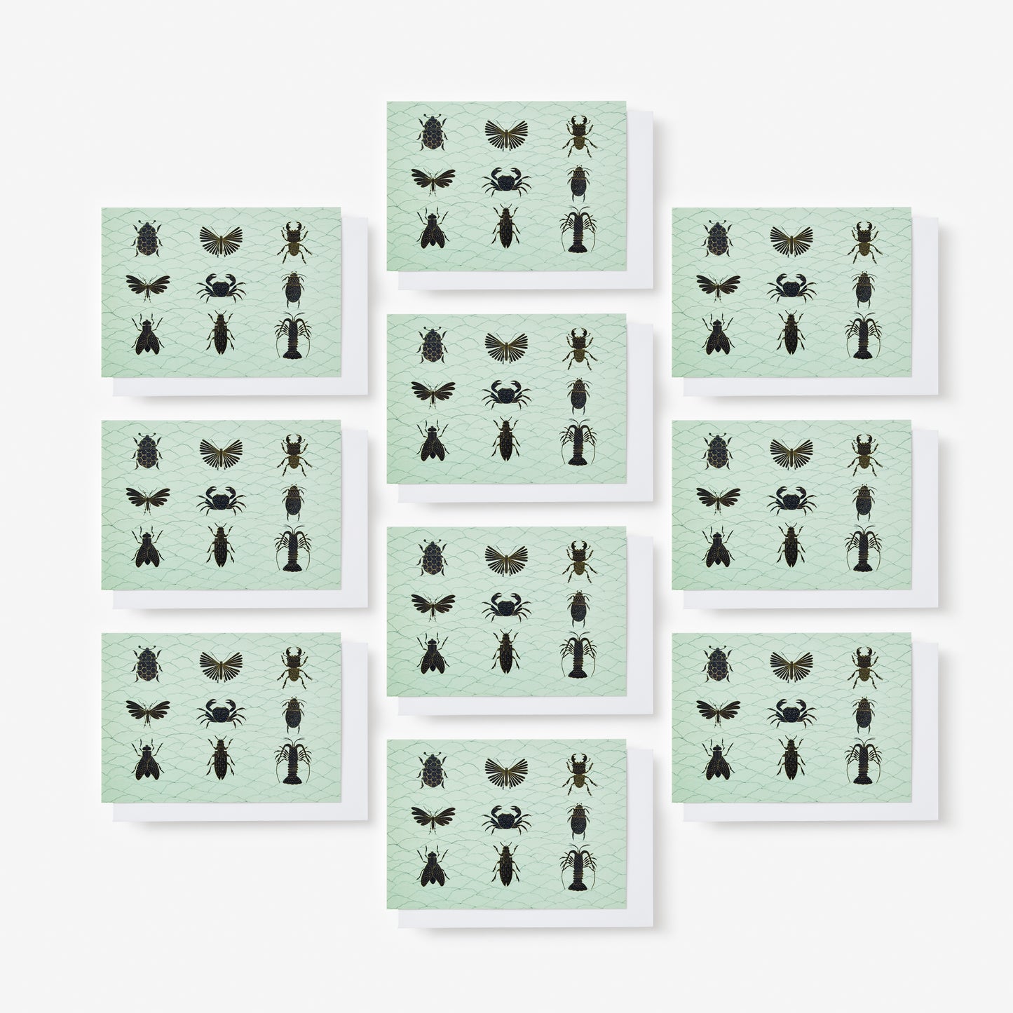LRB Notecard Set - Bugs