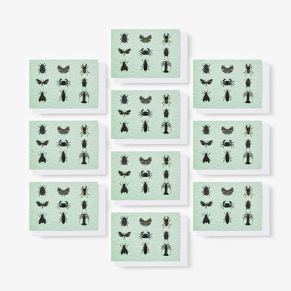 LRB Notecard Set - Bugs