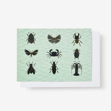 Load image into Gallery viewer, LRB Notecard Set - Bugs