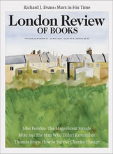 Load image into Gallery viewer, LRB Cover Prints: 2013