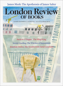 LRB Cover Prints: 2013