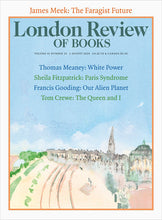 Load image into Gallery viewer, LRB Cover Prints: 2019